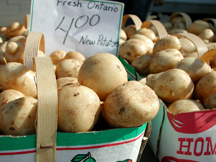 Always fresh produce – famous Kitchener farm to table