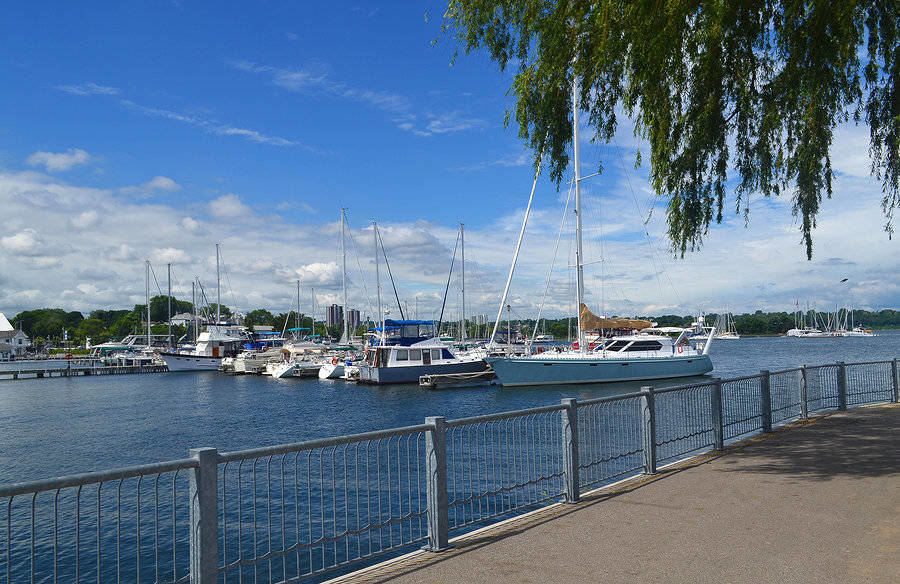Hamilton’s Yacht Harbour on a beautiful day in summer