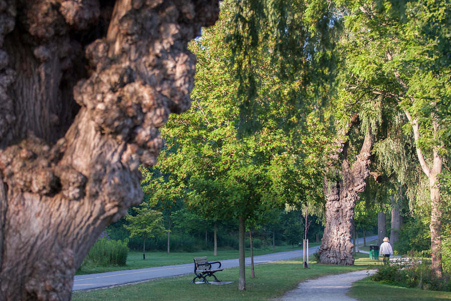 Londoners enjoy scenic natural parks with more than 200 parks of various sizes in the city